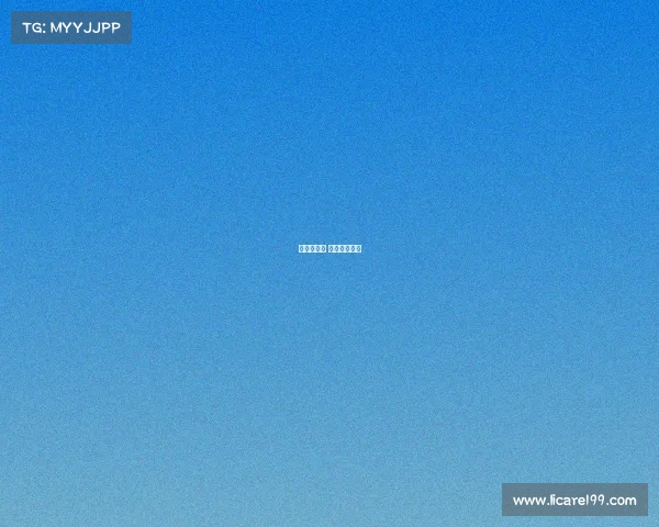 世界坏赛事 世界坏预选赛